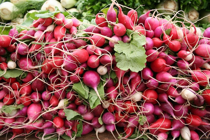 Root Cellaring